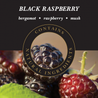 1014 geurlampolie FE Black Raspberry Ashleigh-Burwood