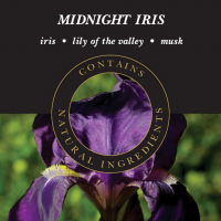 1133 geurlampolie SF Midnight Iris Ashleigh-Burwood